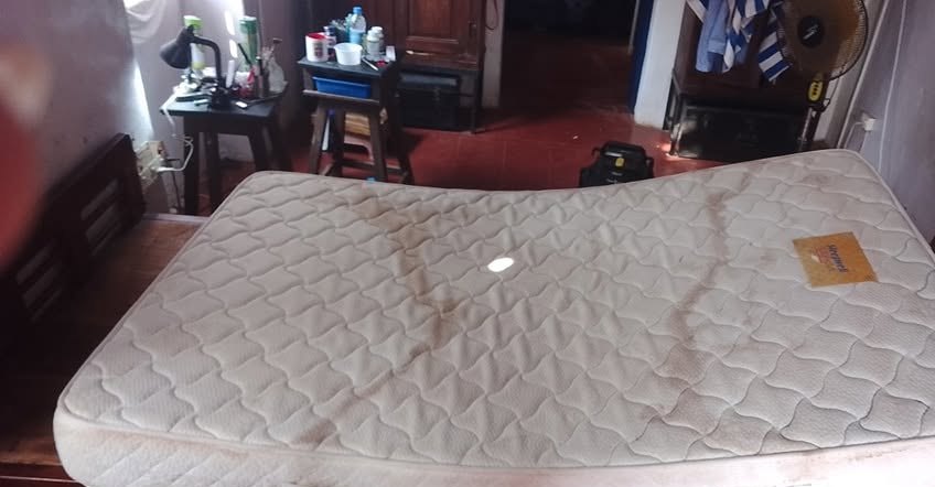 Mattress wet extraction — before cleaning