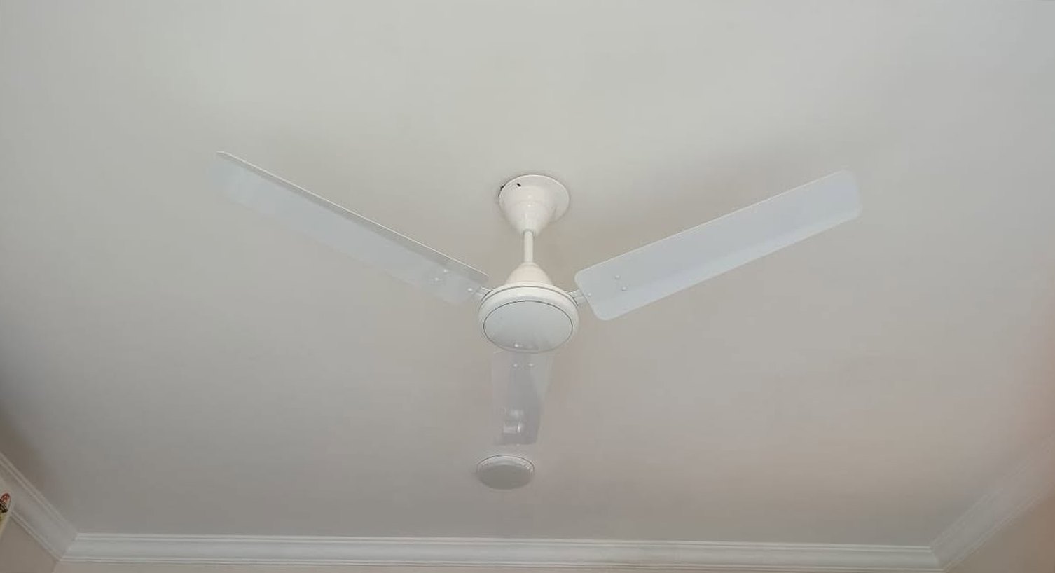 Post-monsoon mould treatment — after cleaning by Filth Fighters