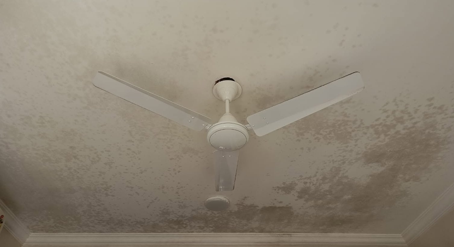 Post-monsoon mould treatment — before cleaning