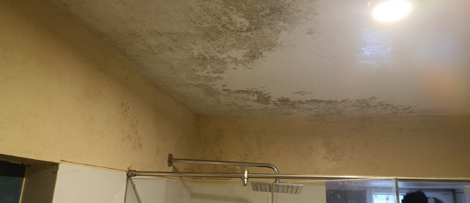 Ceiling mould from shower steam — before cleaning