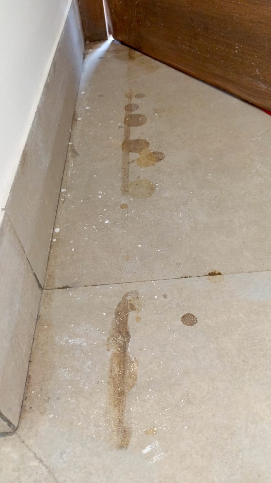 Paint spots and varnish stains removed — before cleaning