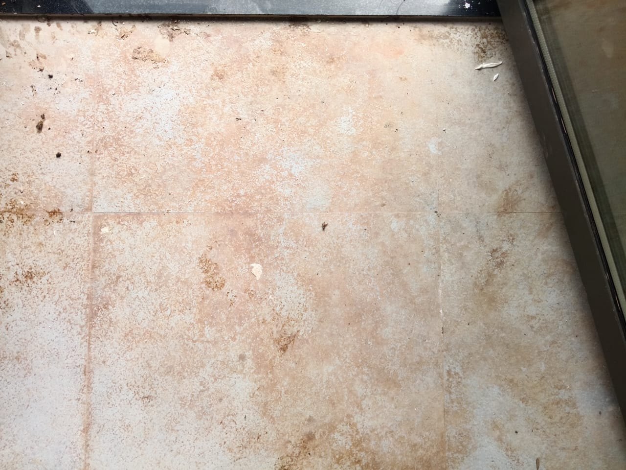 Doorway tiles, cement film cleared — before cleaning
