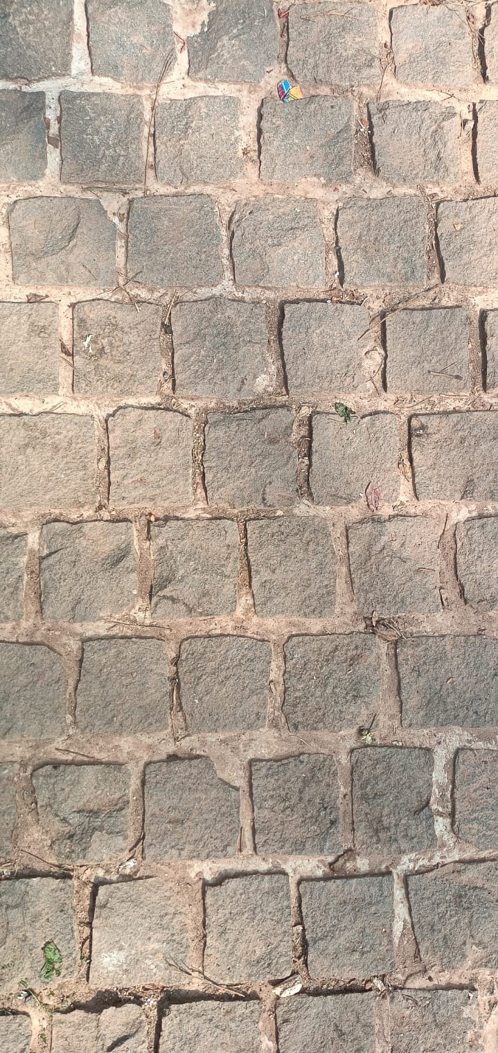 Cobblestone driveway, cleaned — before cleaning