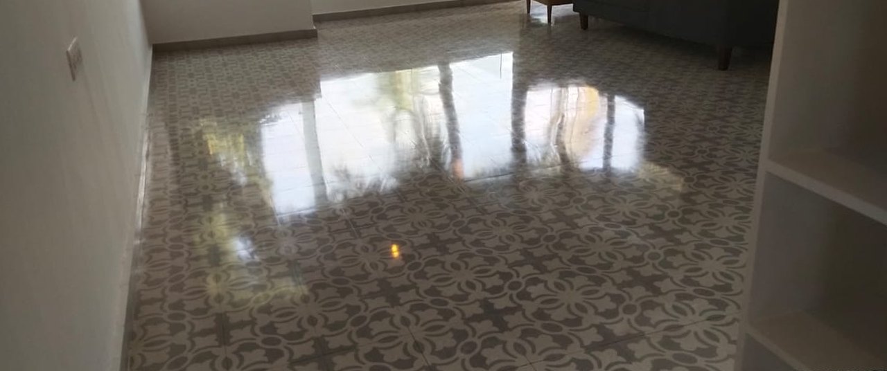 Patterned cement tiles, polished back — after cleaning by Filth Fighters